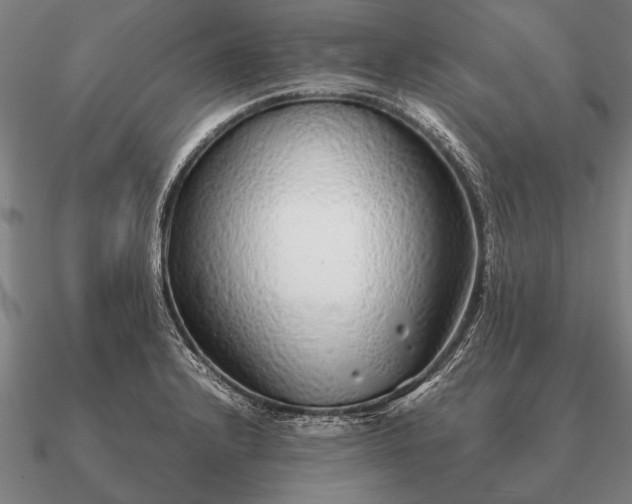 X0000090901232200708061458