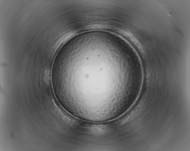 X0000090901233200708061458