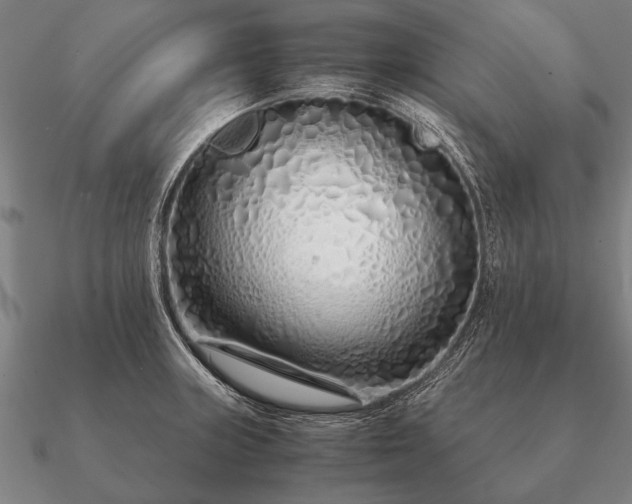 X0000090901235200708061458