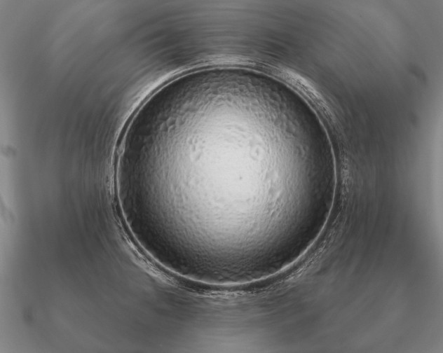 X0000090901236200708061458