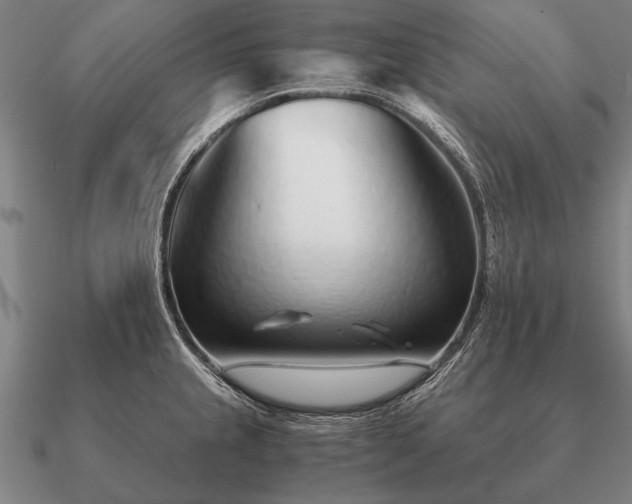 X0000090901237200708061458