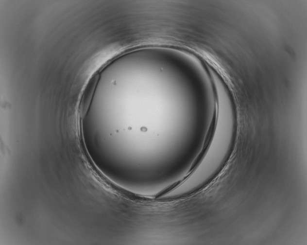 X0000090901238200708061458