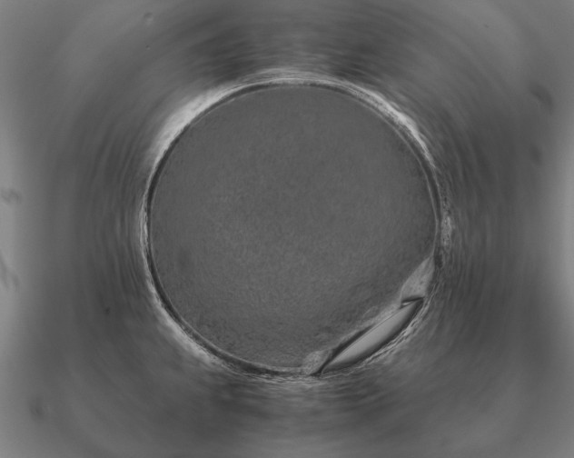 X0000090901239200708061458