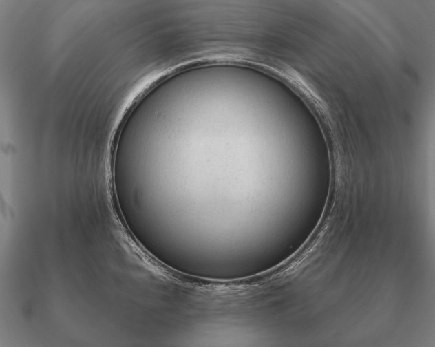 X0000090901240200708061458