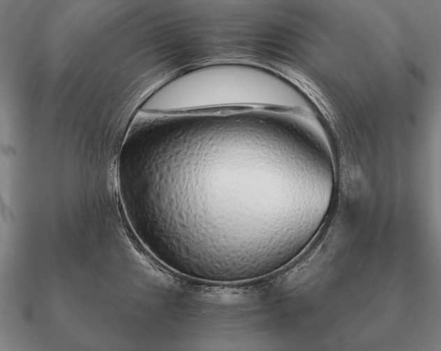 X0000090901241200708061458