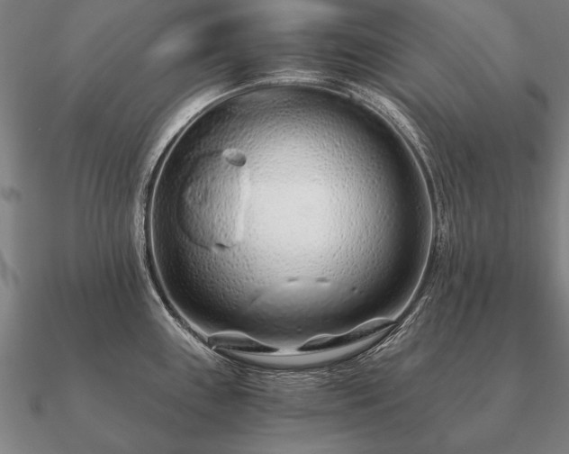 X0000090901243200708061458