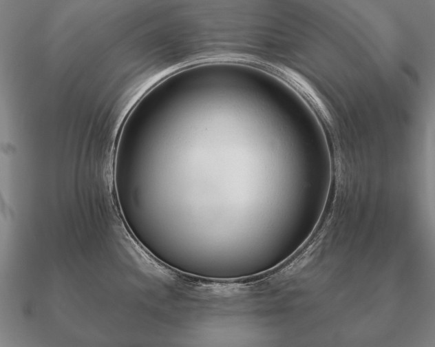 X0000090901244200708061458