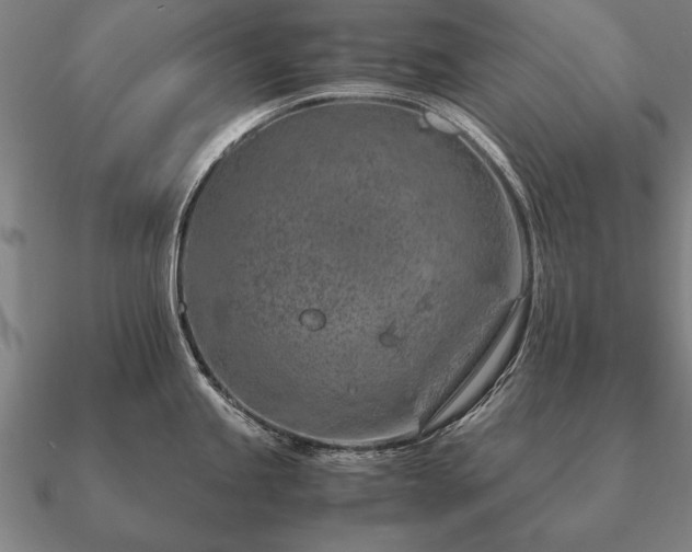 X0000090901245200708061458