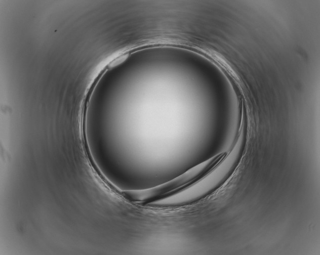 X0000090901246200708061458