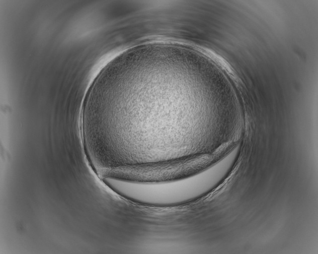 X0000090901247200708061458