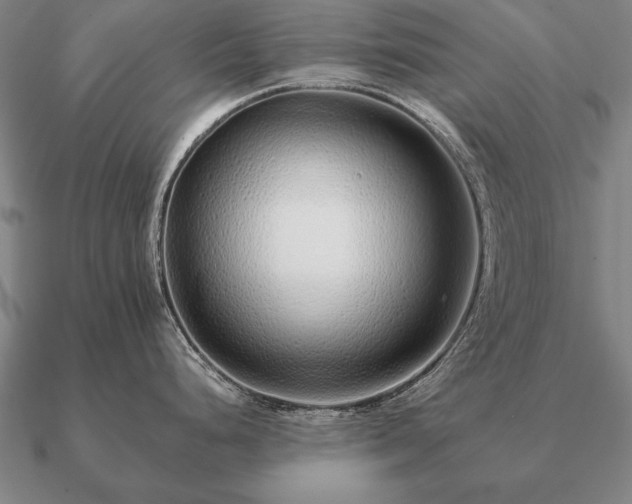 X0000090901248200708061458