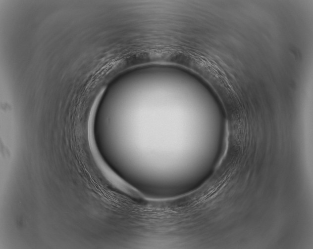 X0000090901249200708061457