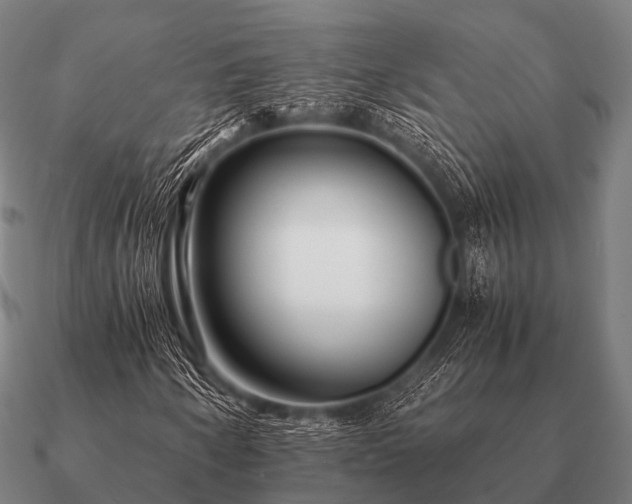 X0000090901250200708061457