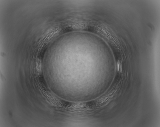 X0000090901251200708061457