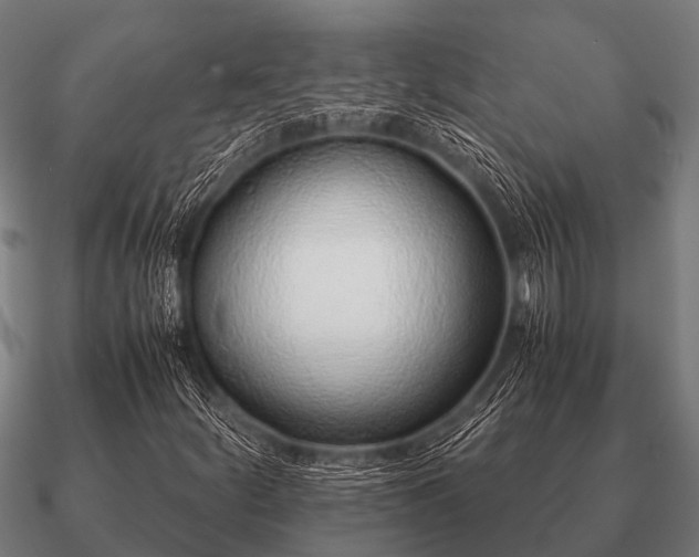 X0000090901252200708061457