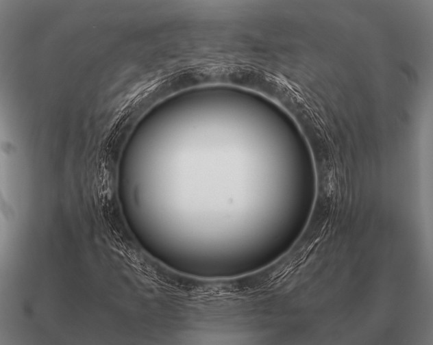 X0000090901253200708061457