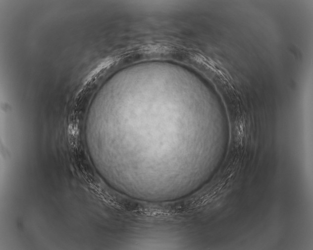 X0000090901254200708061457