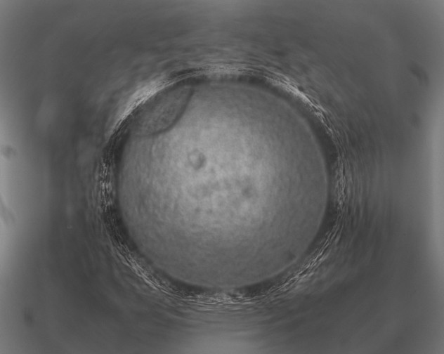 X0000090901255200708061457