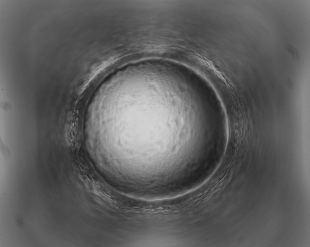 X0000090901256200708061457