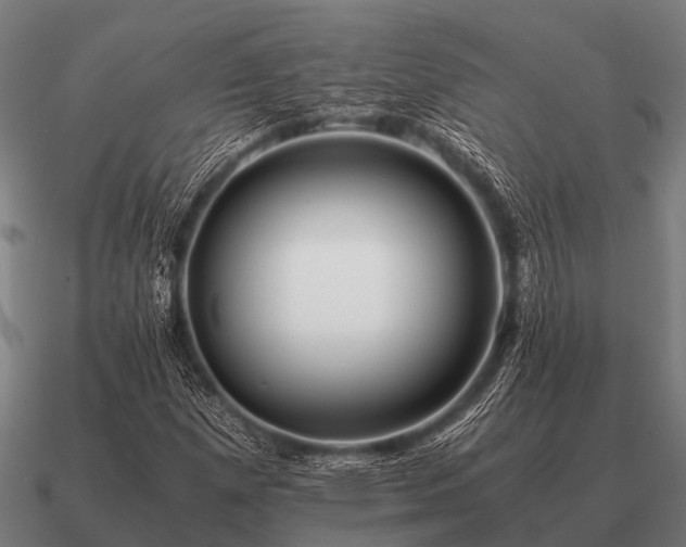 X0000090901257200708061457