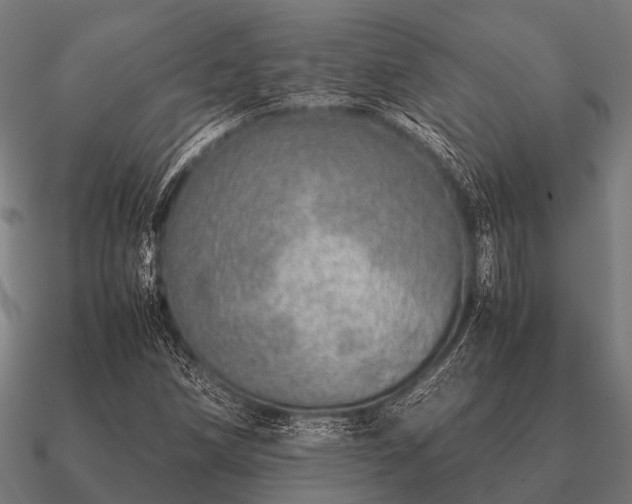 X0000090901258200708061457