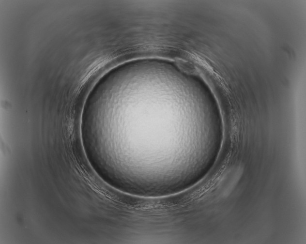 X0000090901259200708061457