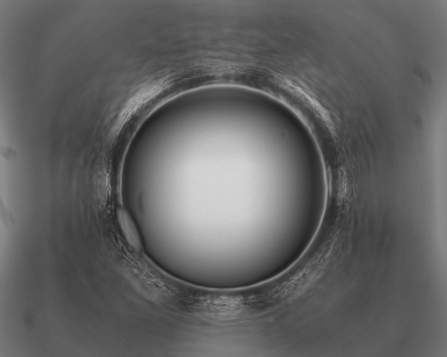 X0000090901261200708061457