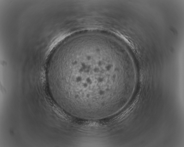 X0000090901263200708061457