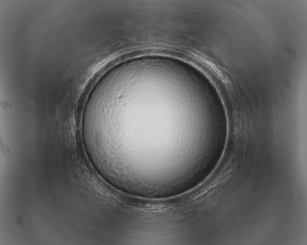 X0000090901264200708061457