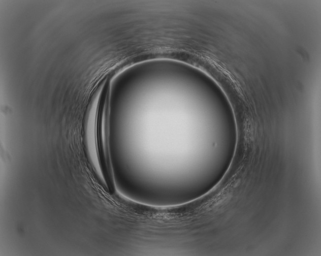 X0000090901265200708061457