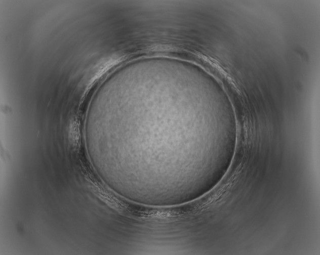 X0000090901266200708061457