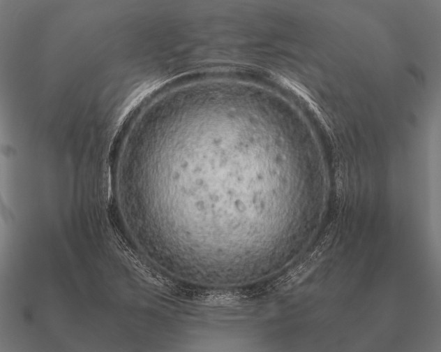 X0000090901267200708061457