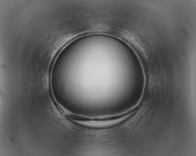 X0000090901268200708061457