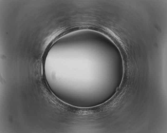 X0000090901269200708061457