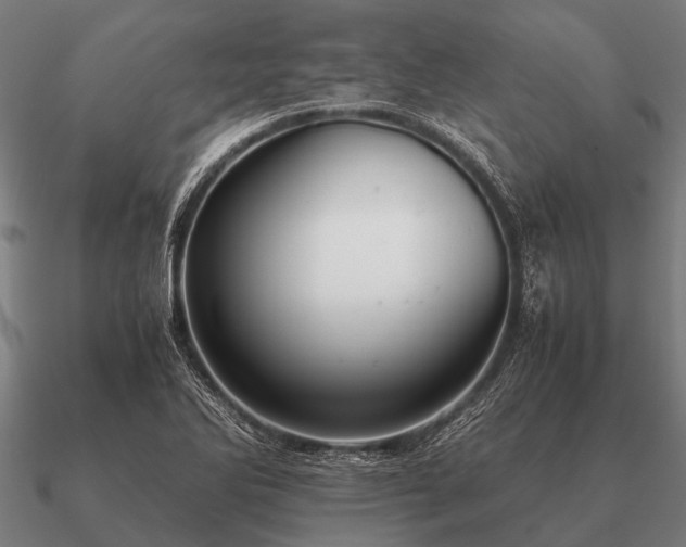 X0000090901270200708061457