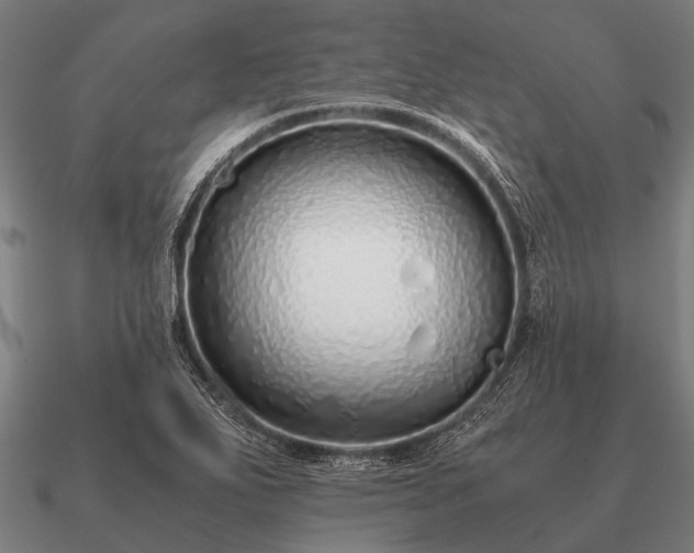 X0000090901271200708061457