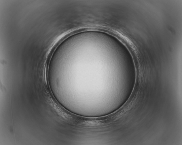 X0000090901272200708061457