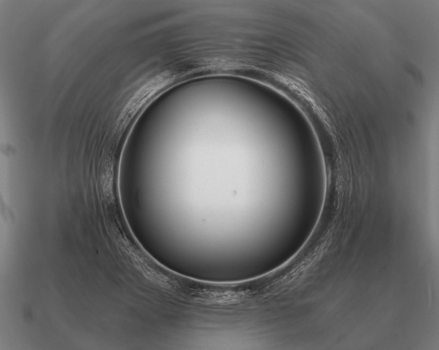 X0000090901273200708061457