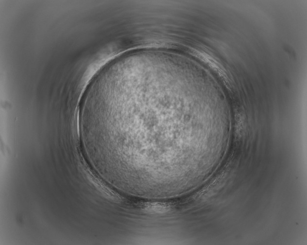 X0000090901275200708061457