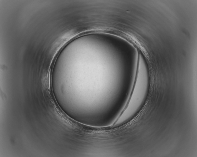 X0000090901276200708061457