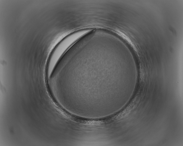 X0000090901277200708061457