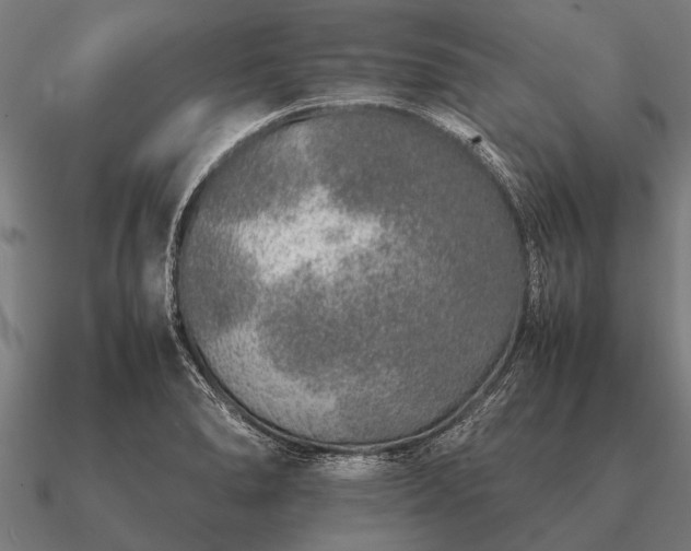 X0000090901278200708061457