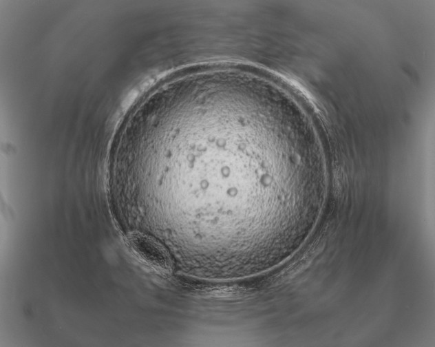 X0000090901279200708061457