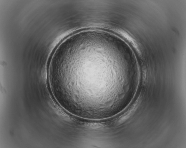 X0000090901280200708061457