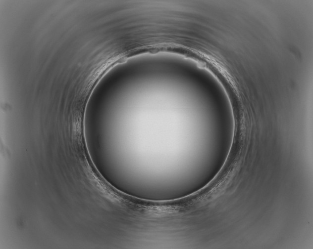 X0000090901281200708061457