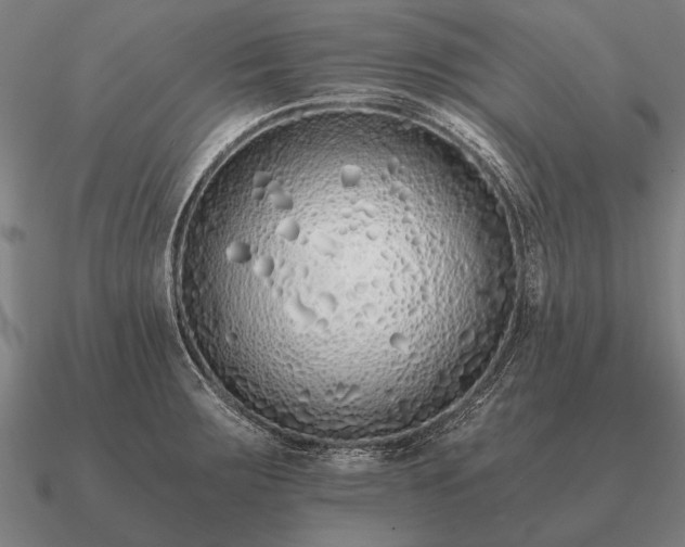 X0000090901283200708061457