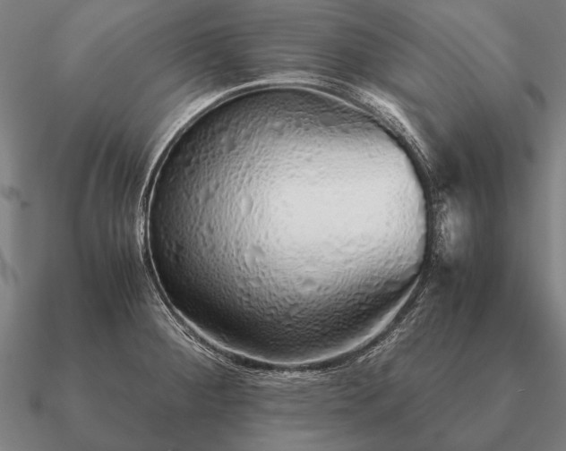 X0000090901284200708061457