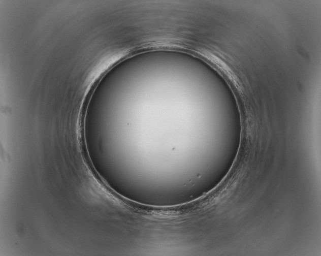 X0000090901285200708061457