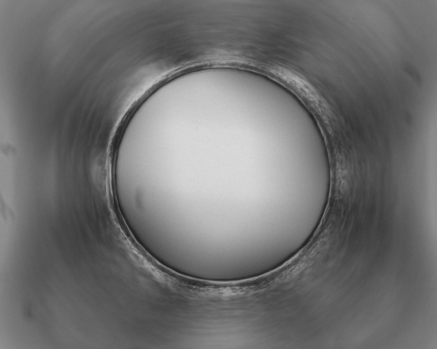 X0000090901286200708061457