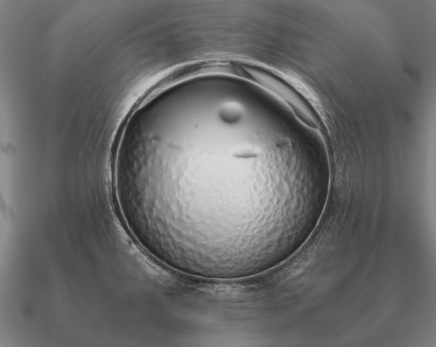 X0000090901287200708061457